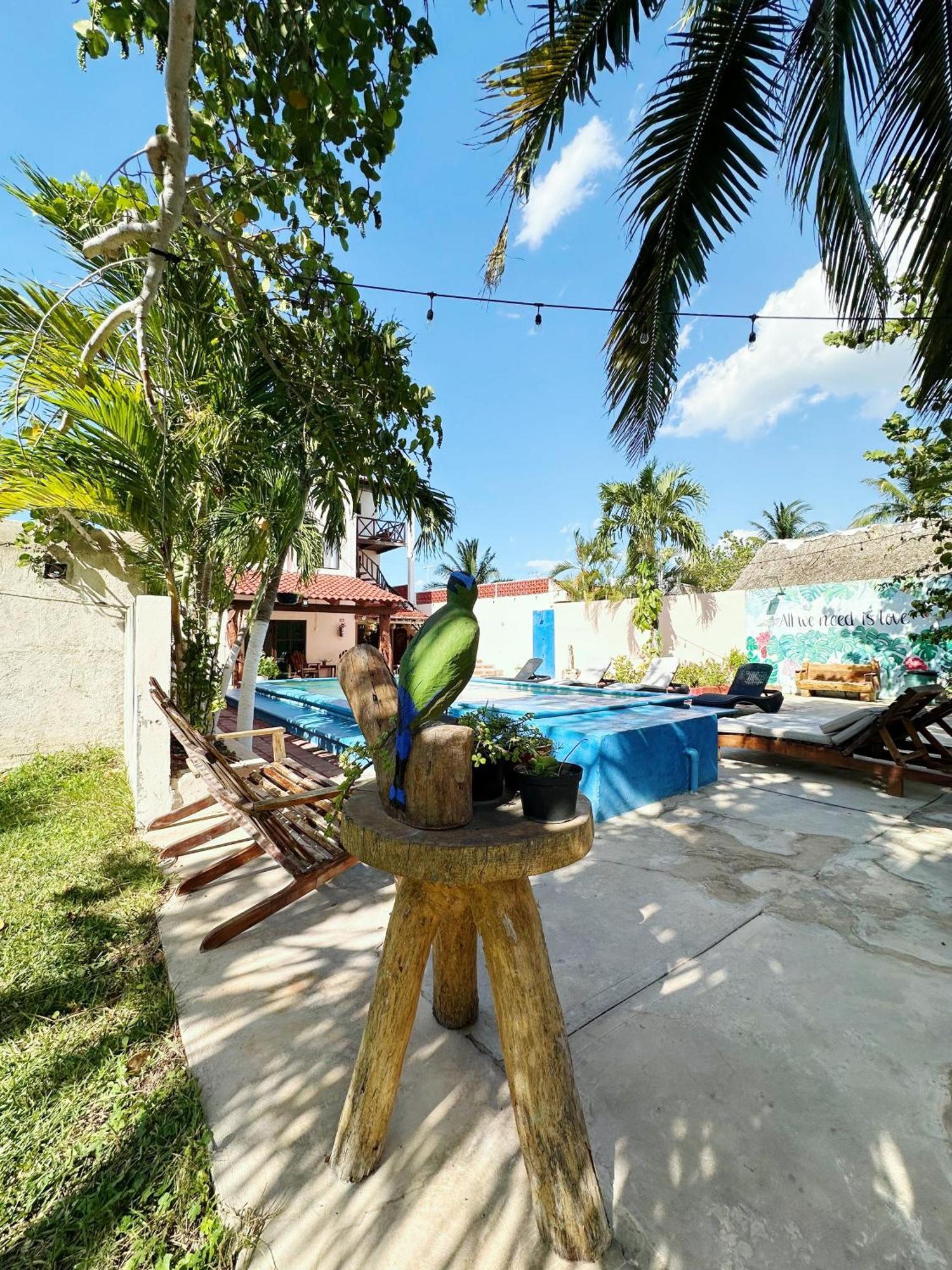 Posada El Perico Marinero Rio Lagartos Bagian luar foto